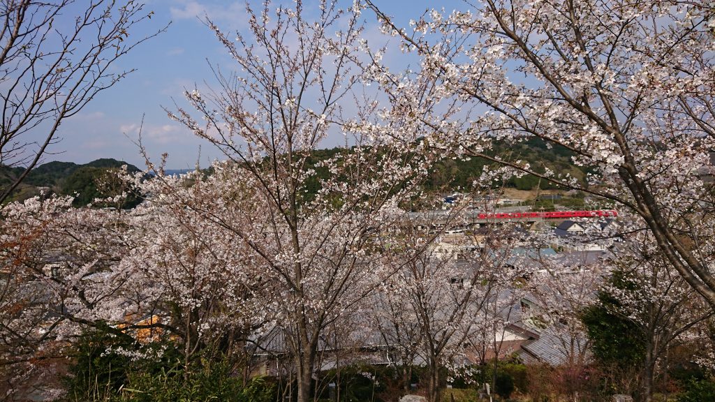 桜山からの眺め